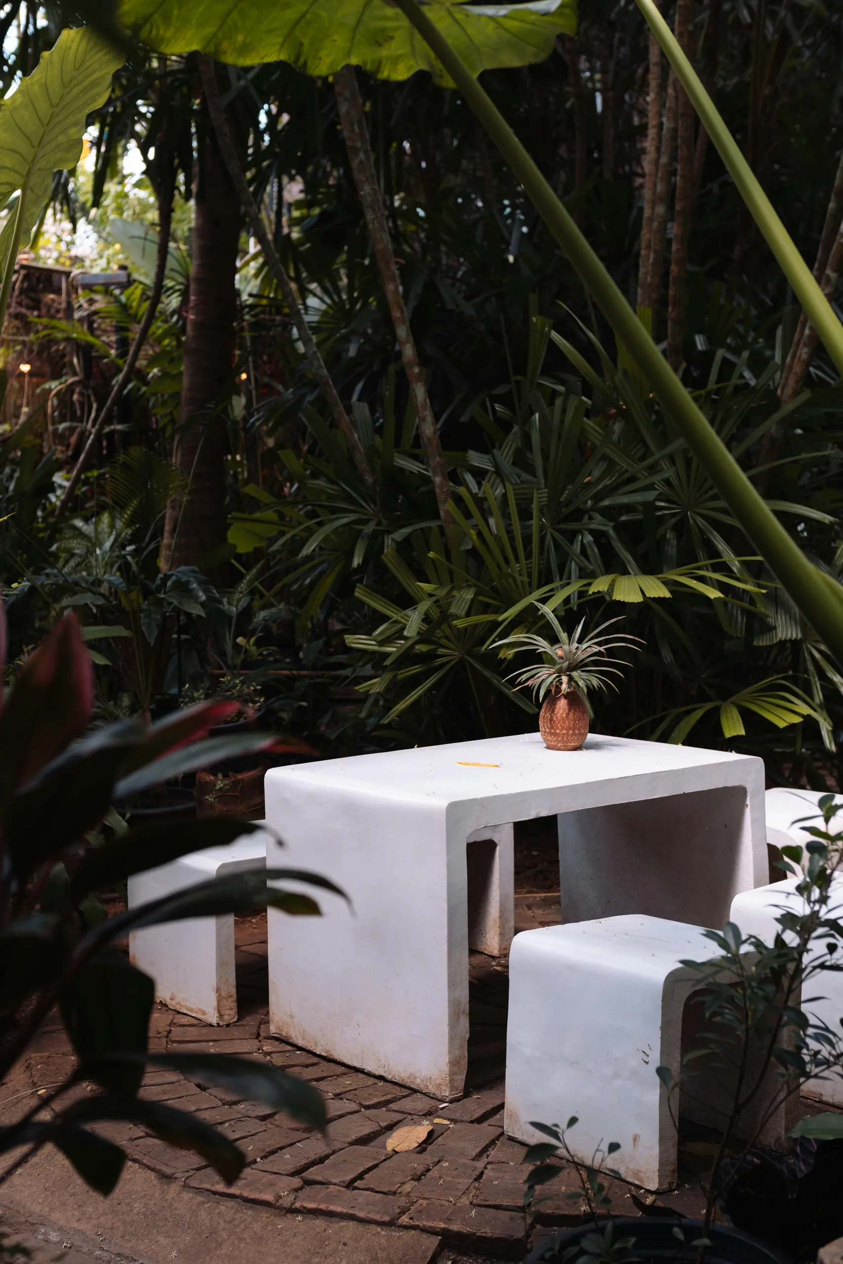 Mesa y taburetes de hormigón entre la exuberante vegetación del jardín